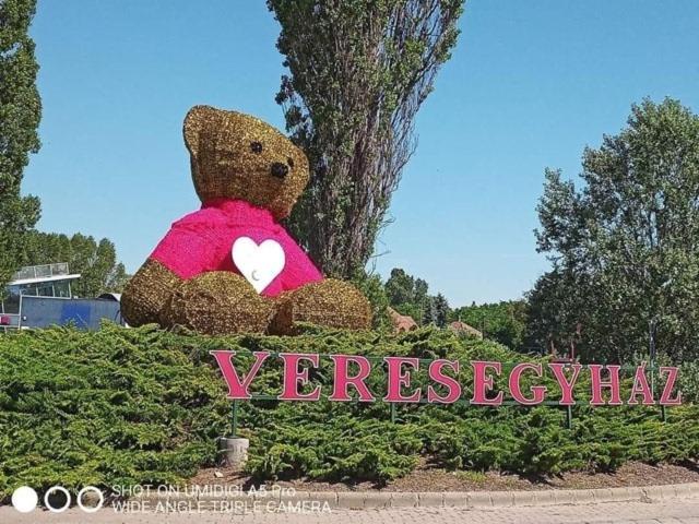 Mandi Apartman Veresegyház Extérieur photo